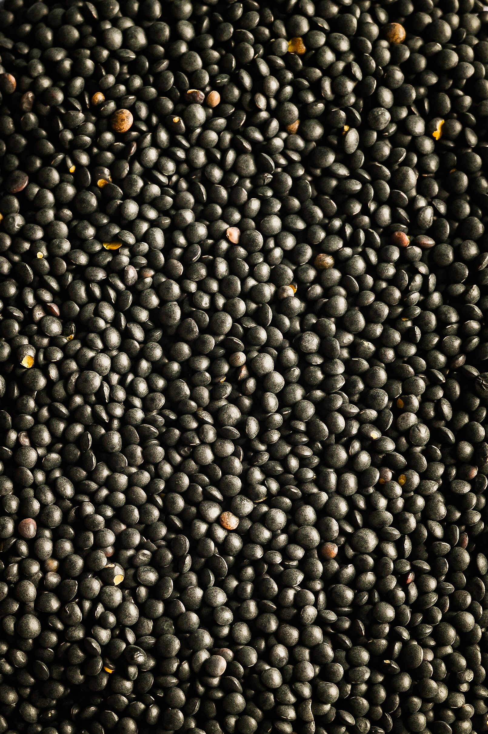 Biojoy Soczewica beluga BIO, suszona i cała, czarna soczewica, 1,5 kg | Z Kanady, naturalna, idealna do gotowania