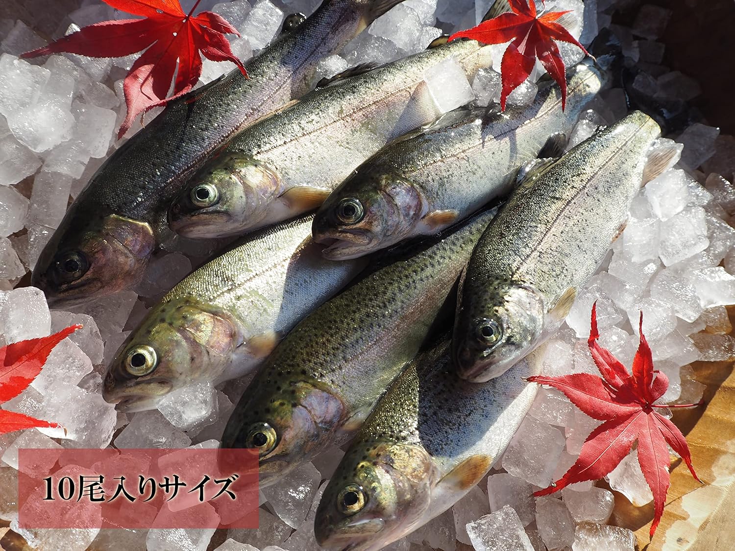 魚沼産 虹鱒 ニジマス 冷凍 12尾入りサイズ 魚沼 高野養魚場 鮮魚 通販 Amazon 魚沼産 虹鱒 ニジマス 冷凍 12尾入りサイズ 魚沼 高野養魚場 鮮魚 通販 Amazon