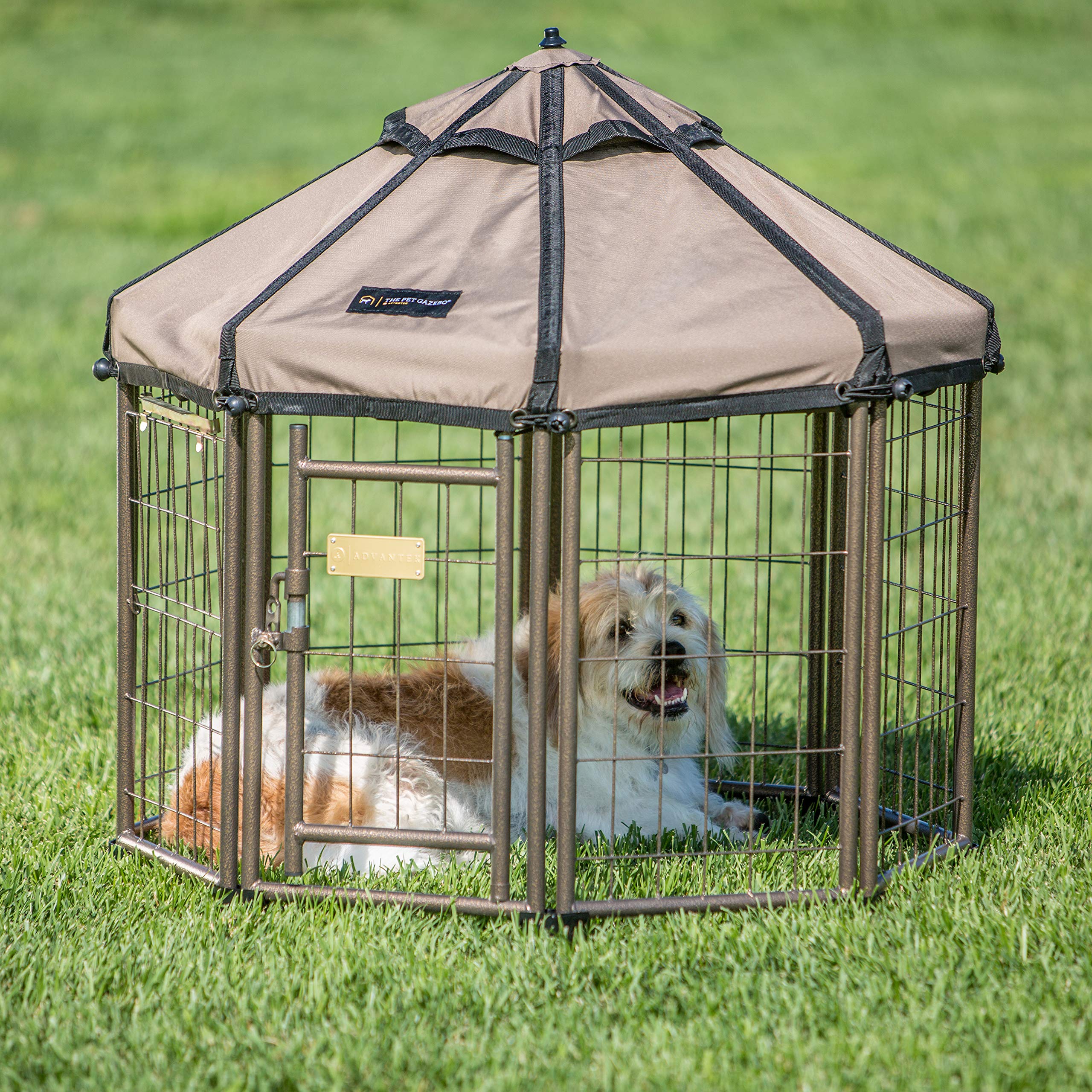 Snapklik.com : Advantek 23230E Pet Gazebo Portable Easy Setup Outdoor 3 ...