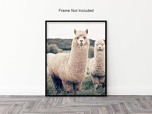 Miniatura 3 de Poster Master Póster de fotografía vintage, impresión retro de naturaleza, arte de pared sin marco, 8 x 10 pulgadas, regalo para artistas, amigos,