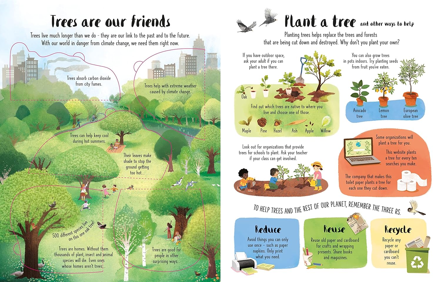 Lift-the-Flap Trees (See Inside)