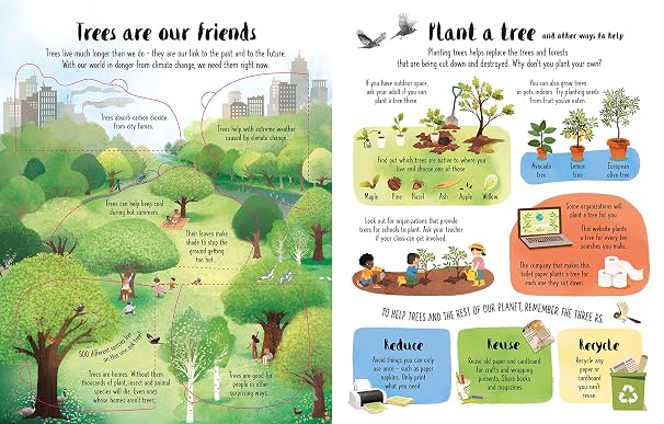 Lift-the-Flap Trees