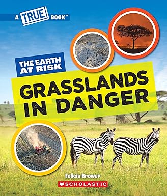 Grasslands in Danger (A True Book: The Earth at Risk)