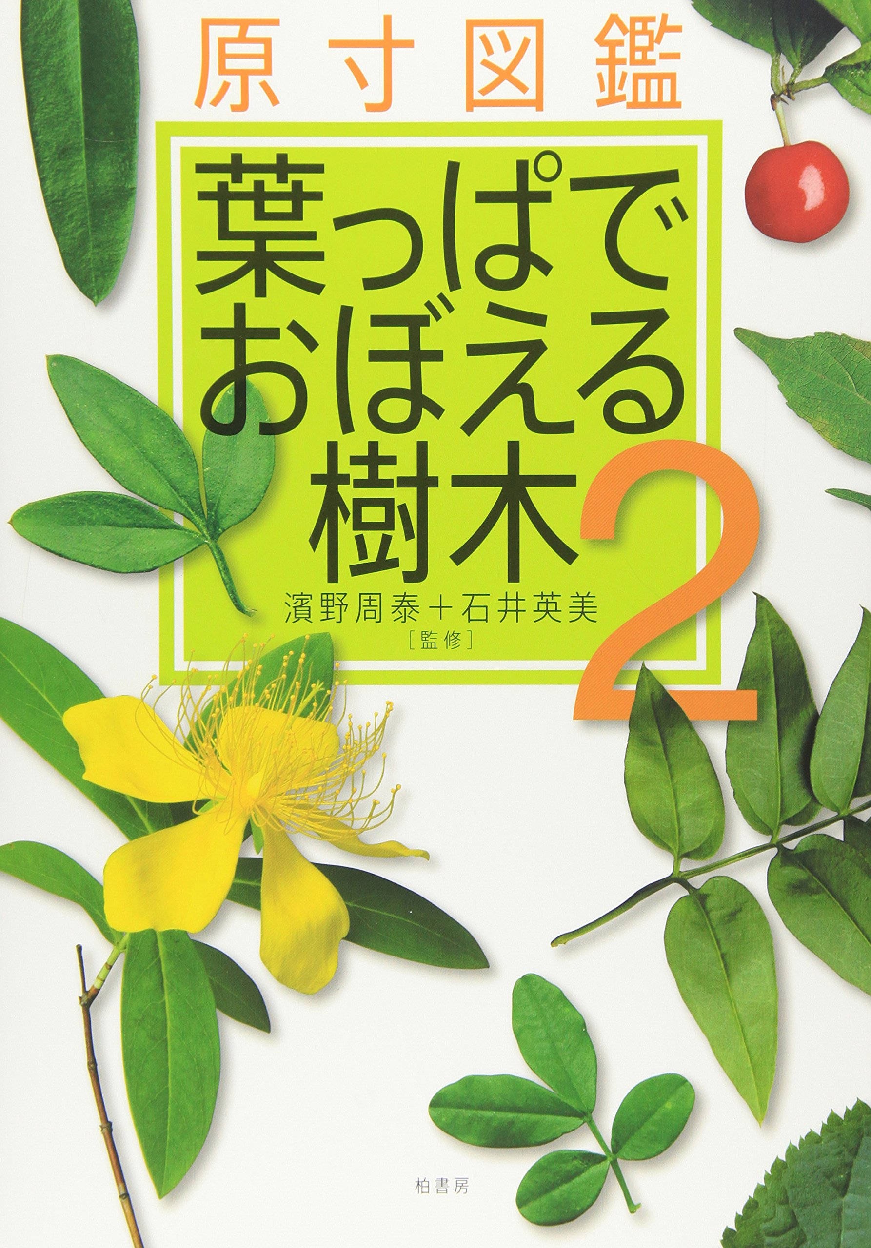 原寸図鑑葉っぱでおぼえる樹木 2 |本 | 通販 | Amazon