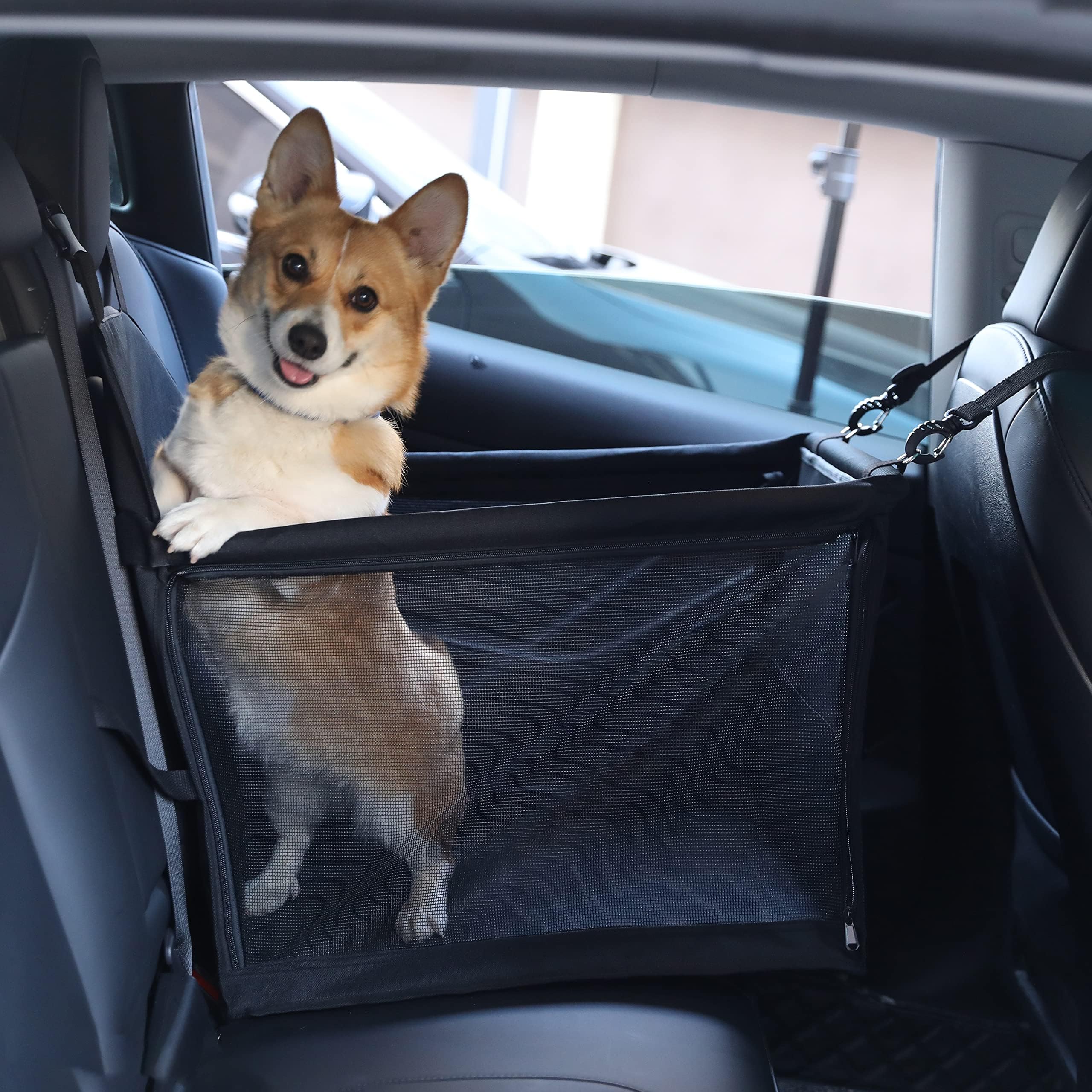 Dog Car Seat for Medium Sized Dog, Booster Car Seat with Clip-On Safety Leash, Fits Both Front and Rear Seats, Pet Seat for Medium Pets Under 50 Lbs, Black L