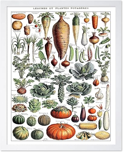 Miniatura 400 de Poster Master Póster vintage de orquídea, estampado de flores retro, arte de pared de plantas exóticas, arte botánico, regalo para hombres y