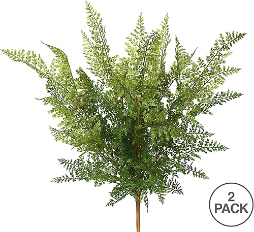 Miniatura 3 de Vickerman Arbusto de helecho verde artificial de 26 pulgadas, paquete de 2, planta decorativa de interior sintética, vegetación para decoración