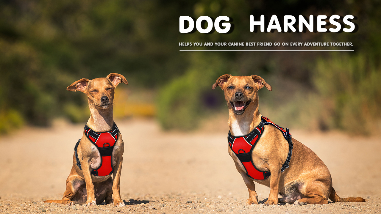 BARKBAY No Pull Pet Harness Dog Harness Adjustable Outdoor Pet Vest 3M Reflective Oxford Material Vest for PINK Dogs… - Image 8