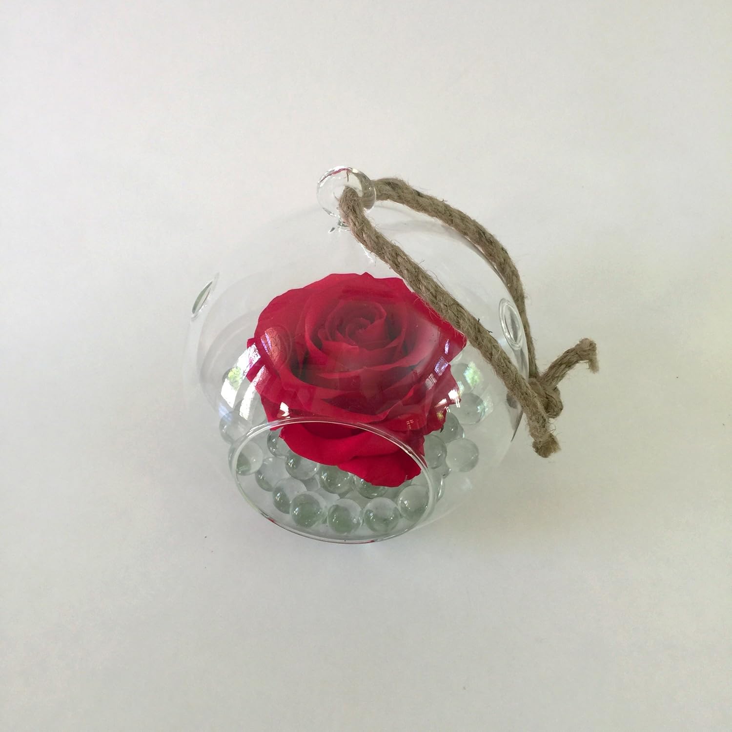 Preserved Rose Terrarium (Kit contains Terrarium Vase, Glass Round Marbles Filler