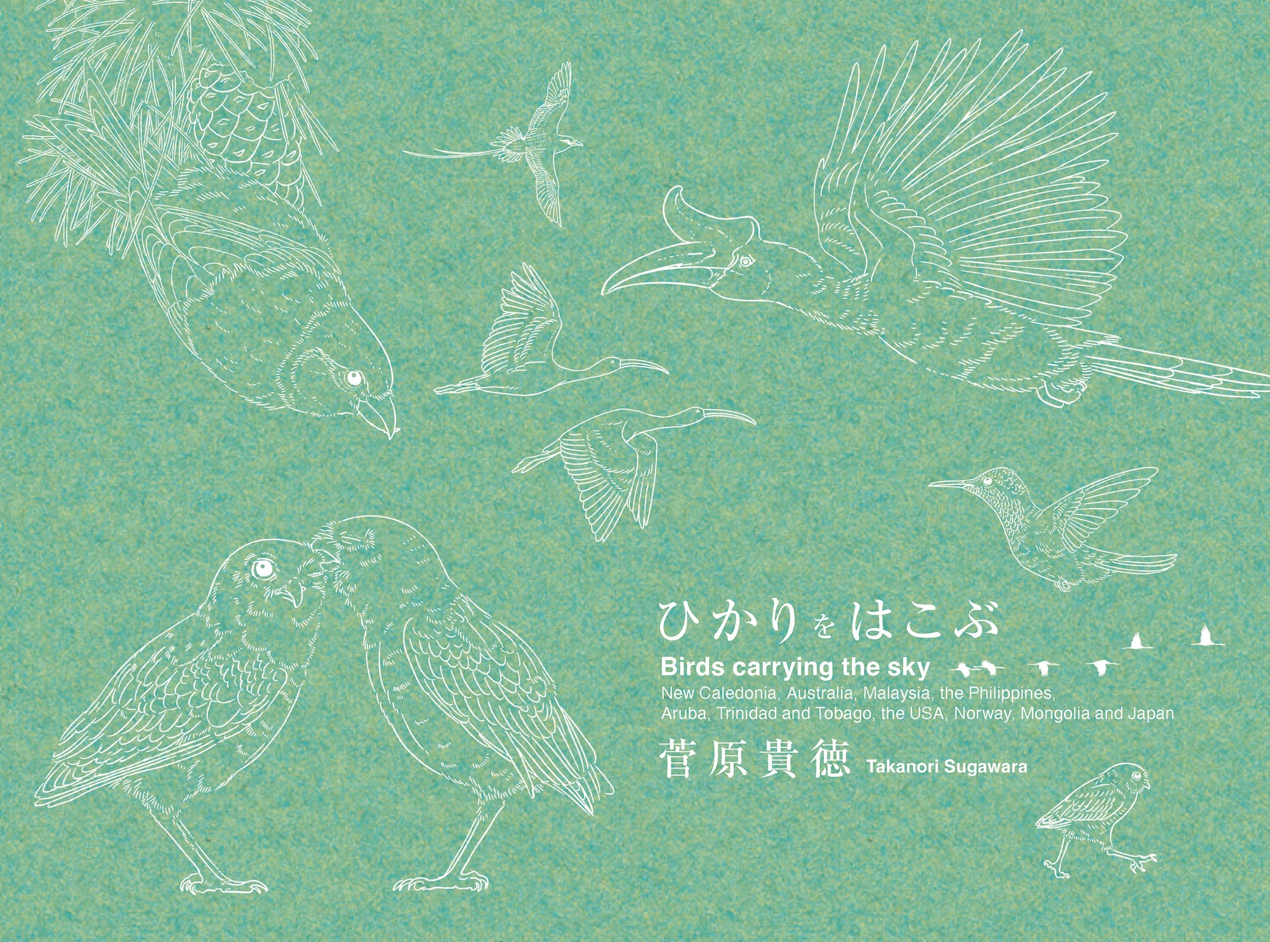 ひかりをはこぶ Birds carrying the sky | 菅原 貴徳 |本 | 通販 | Amazon