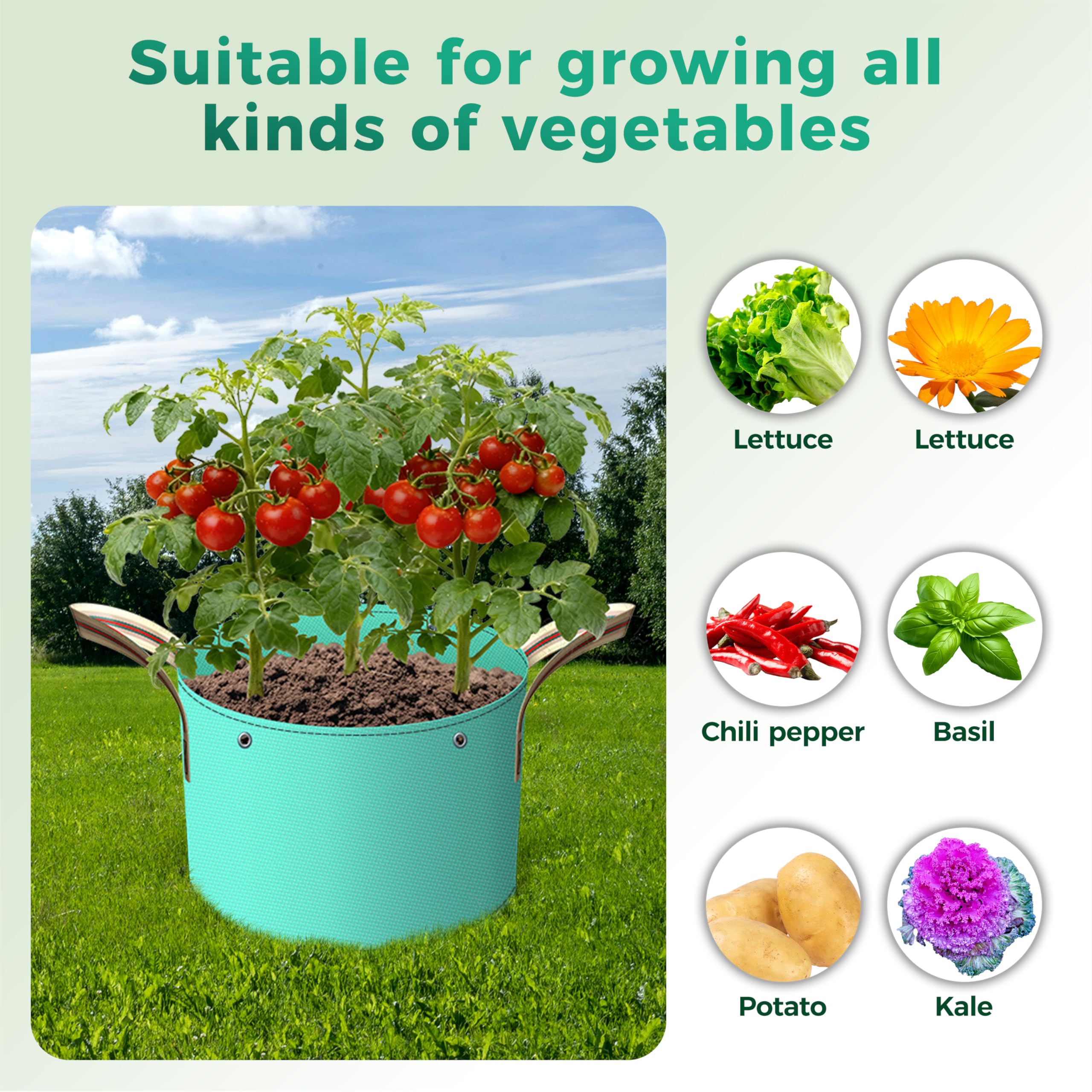 Lot de 7 Sacs de Culture pour Pommes de Terre de 11 litres, Sacs de Plantation PE avec Trous de Liaison et Trous d'écoulement pour légumes, Fraises, Fleurs
