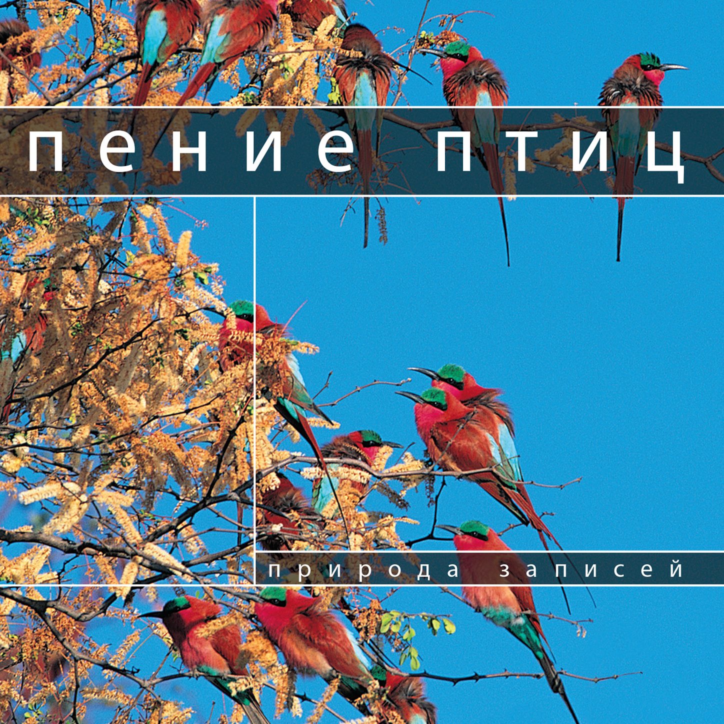 Глобальный Путешествие