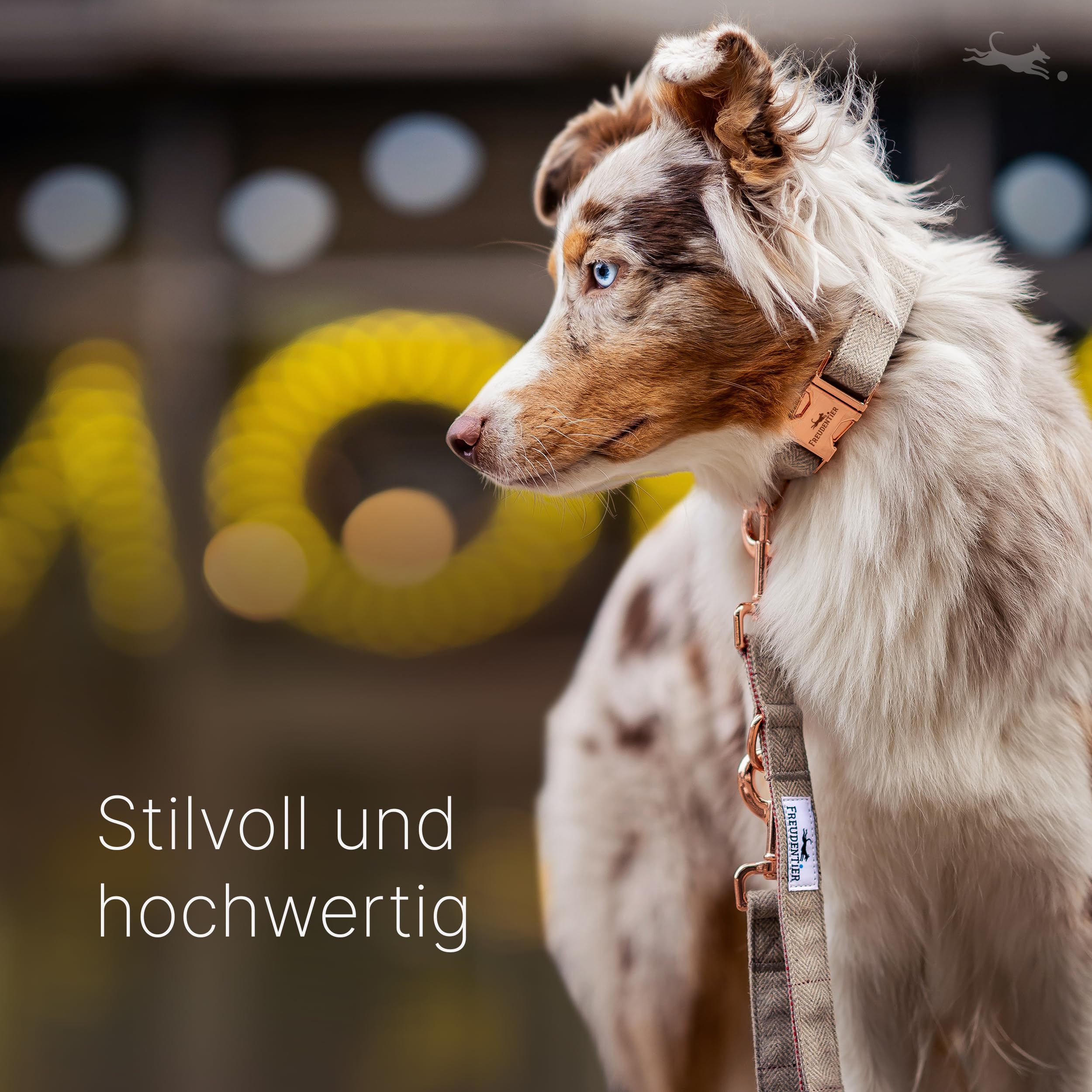 FREUDENTIER Hundehalsband und Hundeleine 2m im eleganten Set - Hundeleine verstellbar - Inkl. Geschenkbox - Für kleine, mittelgroße & große Hunde - Classic Kollektion, Das Original (37-58cm)