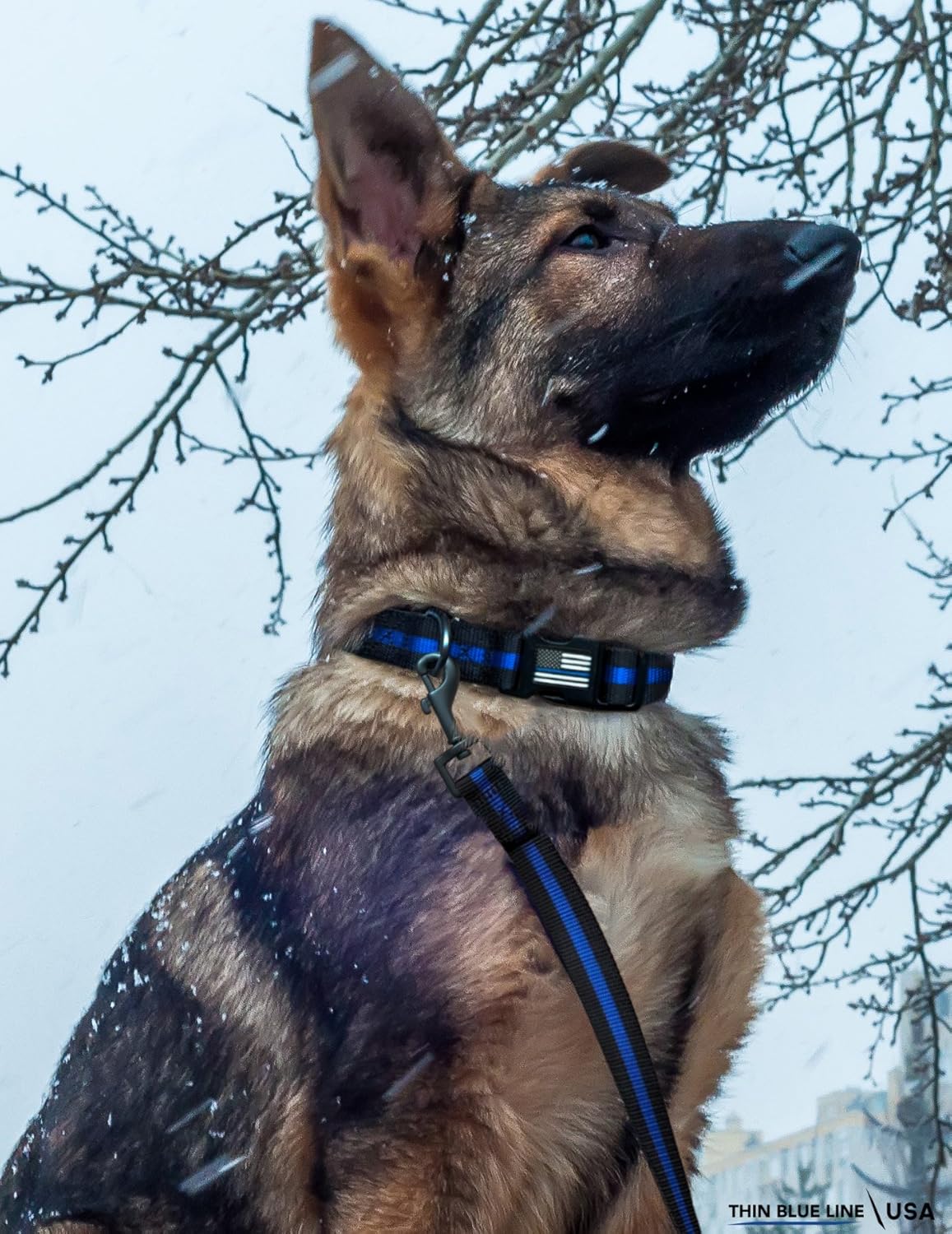 thin blue line dog collar amazon