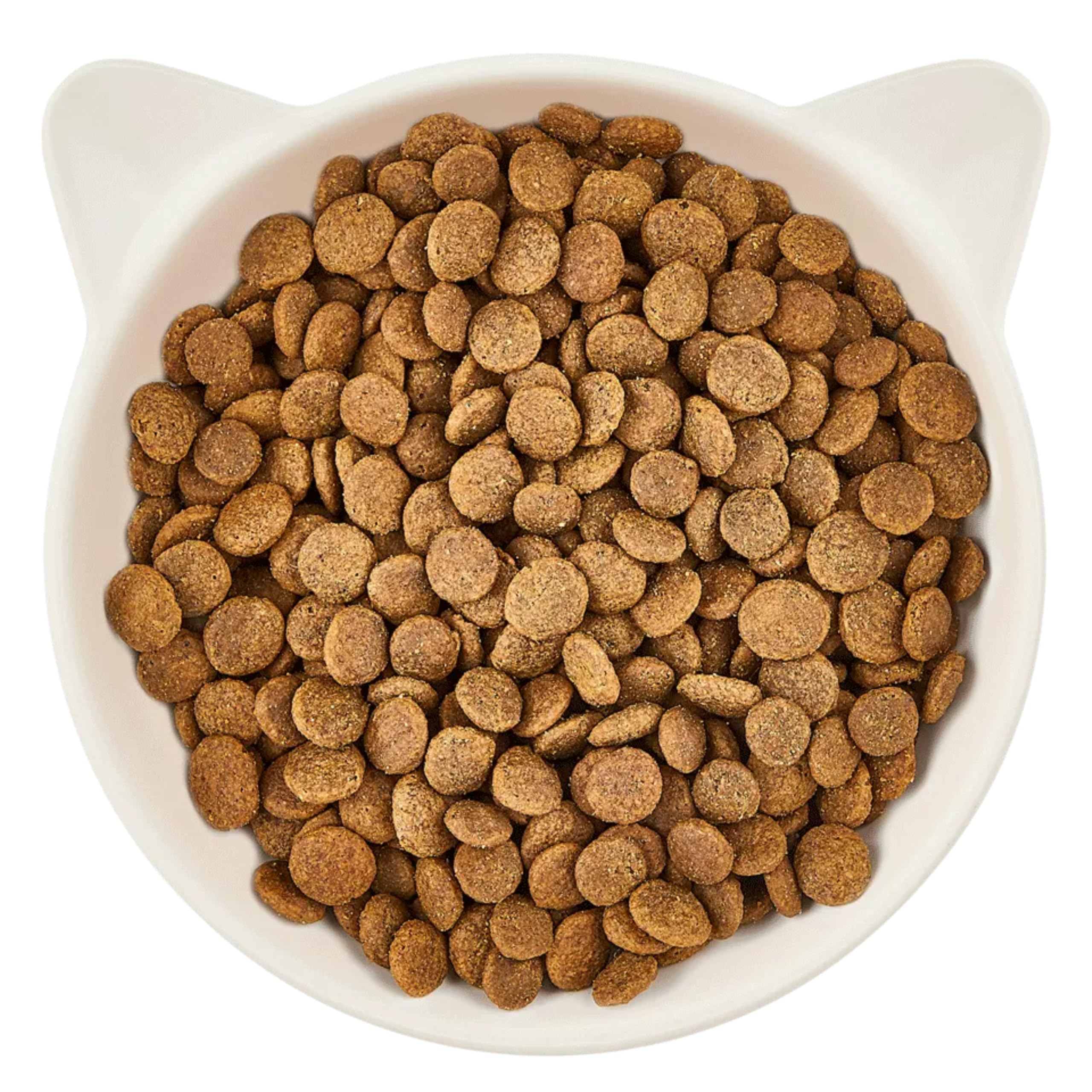 WOW Cat Trockenfutter Senior Lamm 3 x 2kg | ohne Getreide & Zucker