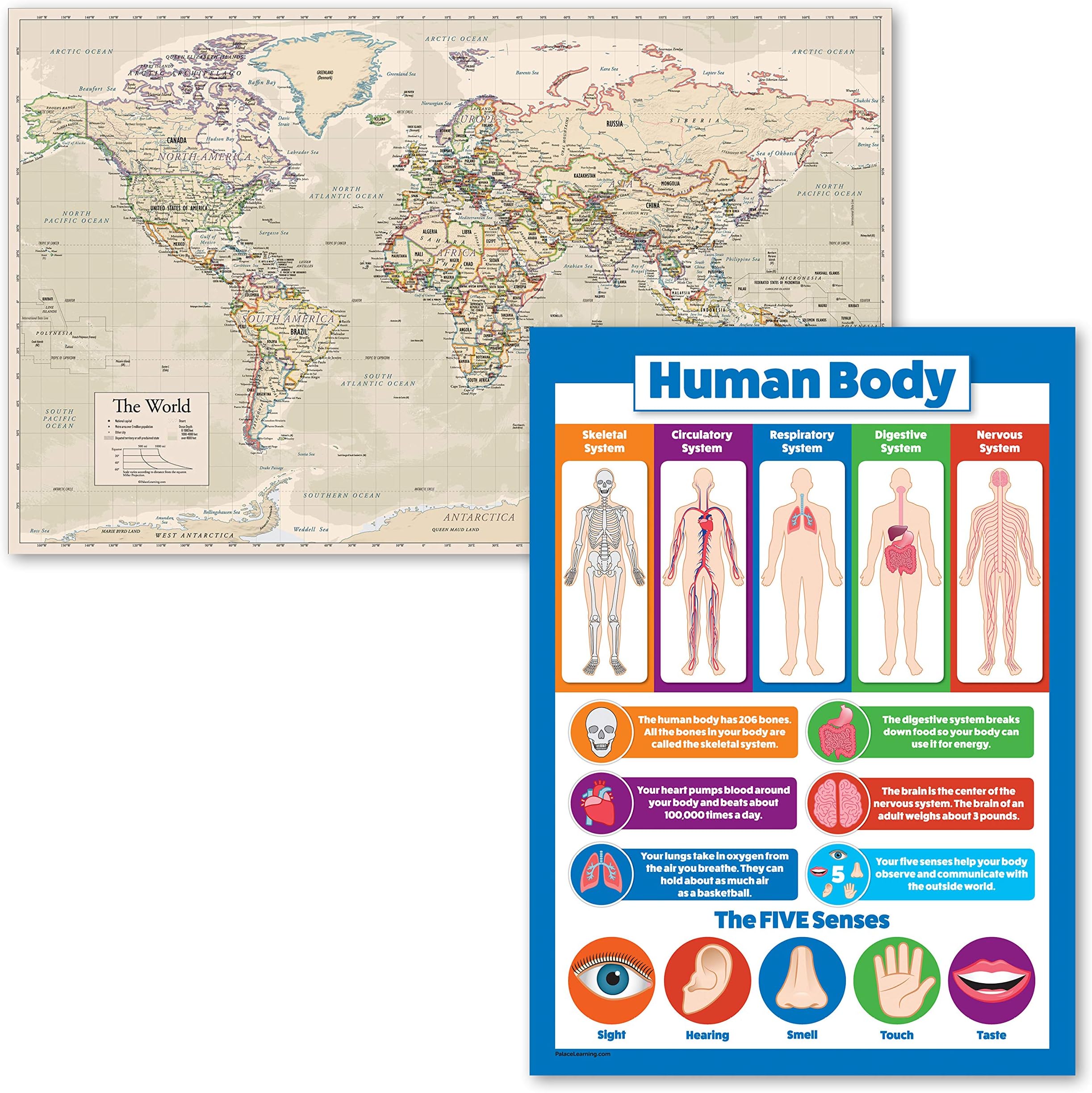 2 Pack - Antique Style World Map Poster + Understanding The Human Body Chart for Kids (Laminated, 18" x 24")