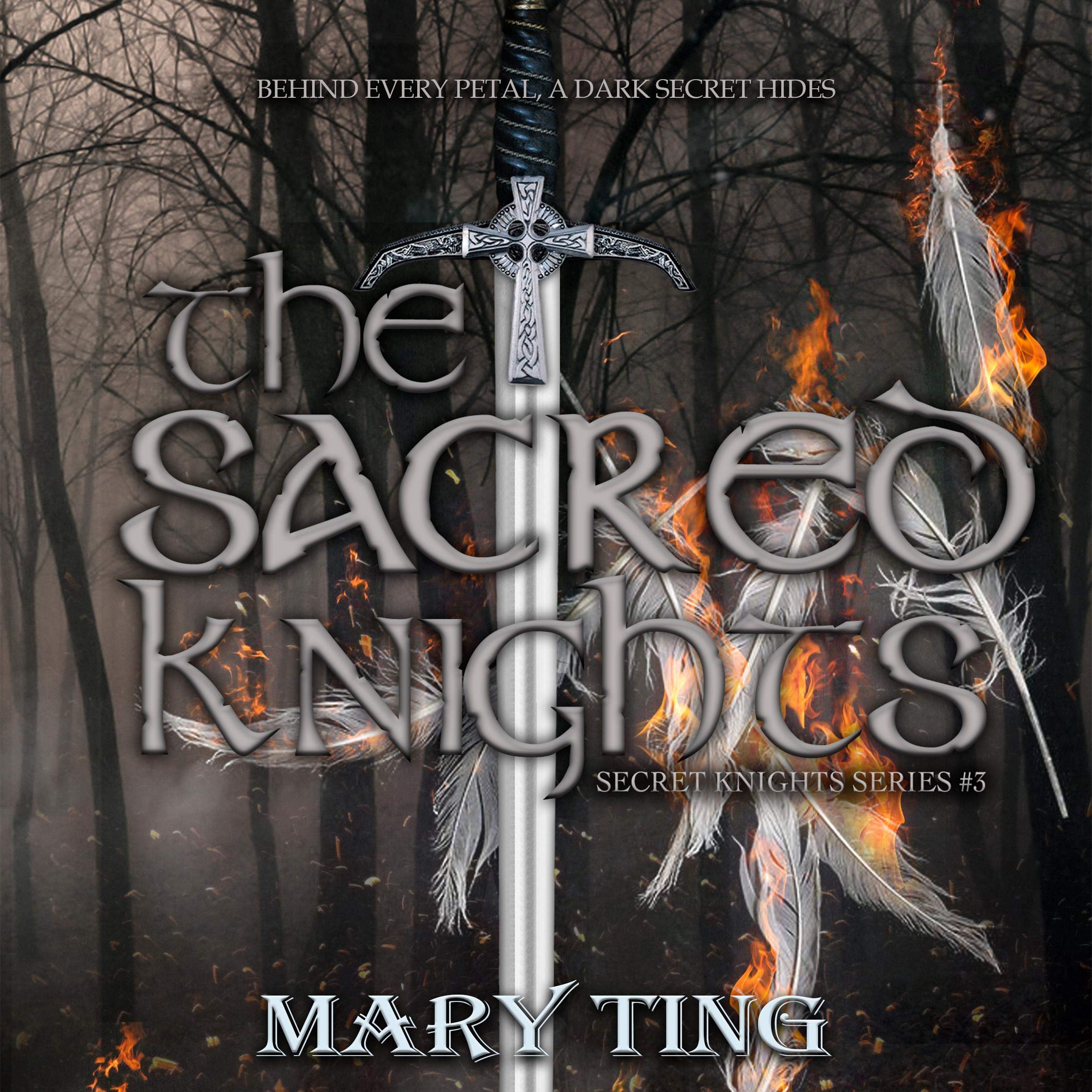 Cover art for The Sacred Knights