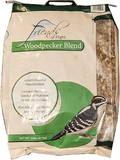 00193 Bird Seed