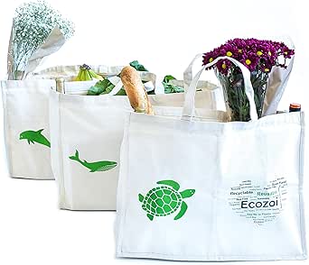ecozoi Reusable Grocery Shopping Bags With 6 Organizer Pockets - Set Of 3 | Extra Large Heavy Duty Tote Bag Set | Foldable, Collapsible, Washable, Eco-Friendly, Sustainable | Produce Bags