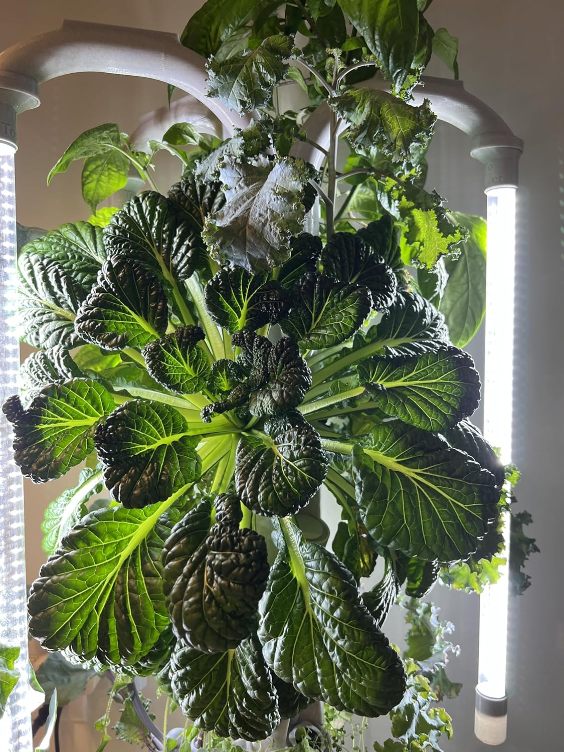 The Hydro Tower® Hydroponic Gardening Tower | Lights Included | Self Watering | Simple Setup | Easy Upkeep | Fast Growth