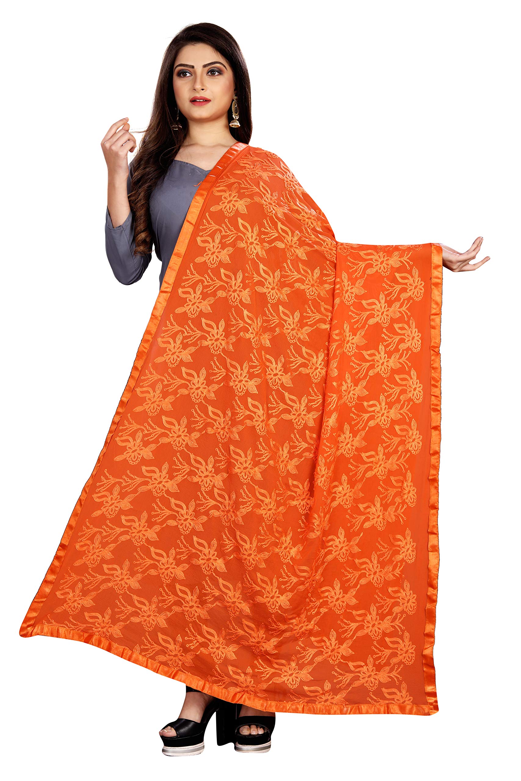 AKSHAR LLCMiss India Women's Chiffon Dupatta with Karachi Embroidery Work