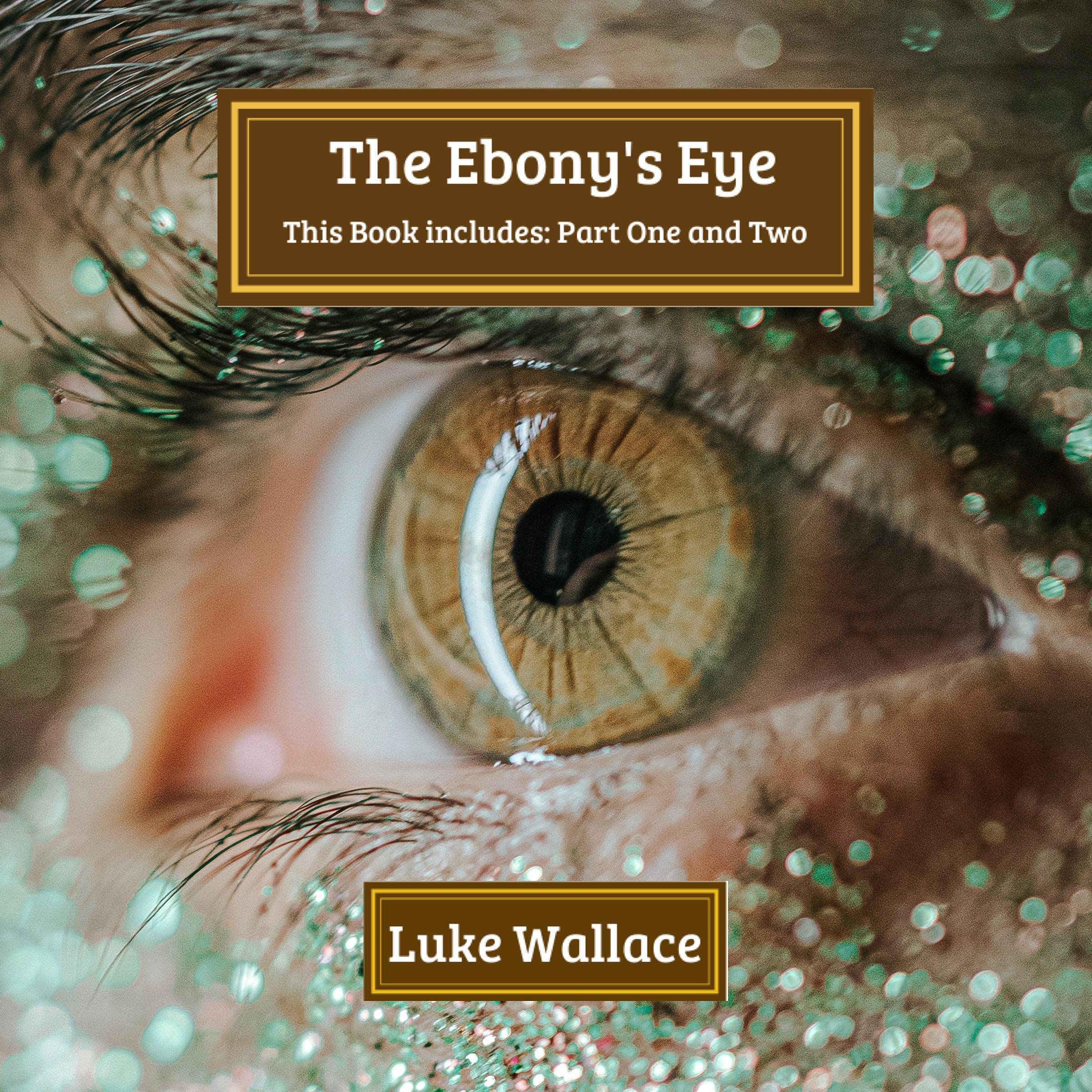 Cover art for The Ebony's Eye