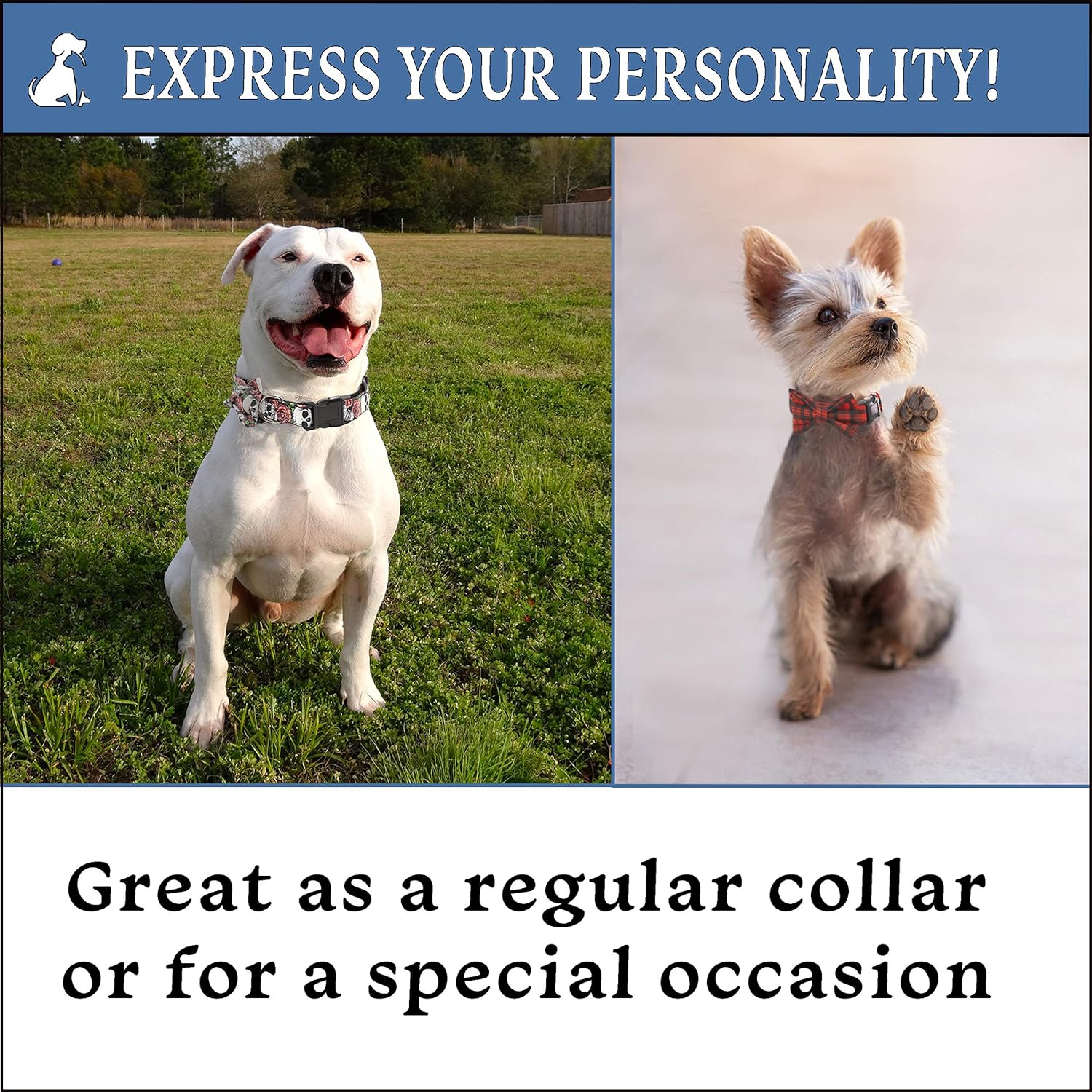 Yellow Dog Collar with Detachable Bow tie and Optional Matching Yellow Leash. This Dog Bow tie is a Cute, Soft Dog Collar with Sturdy Nylon Base, Perfect for Female Dogs or Male, Large Dogs or Small : Pet Supplies