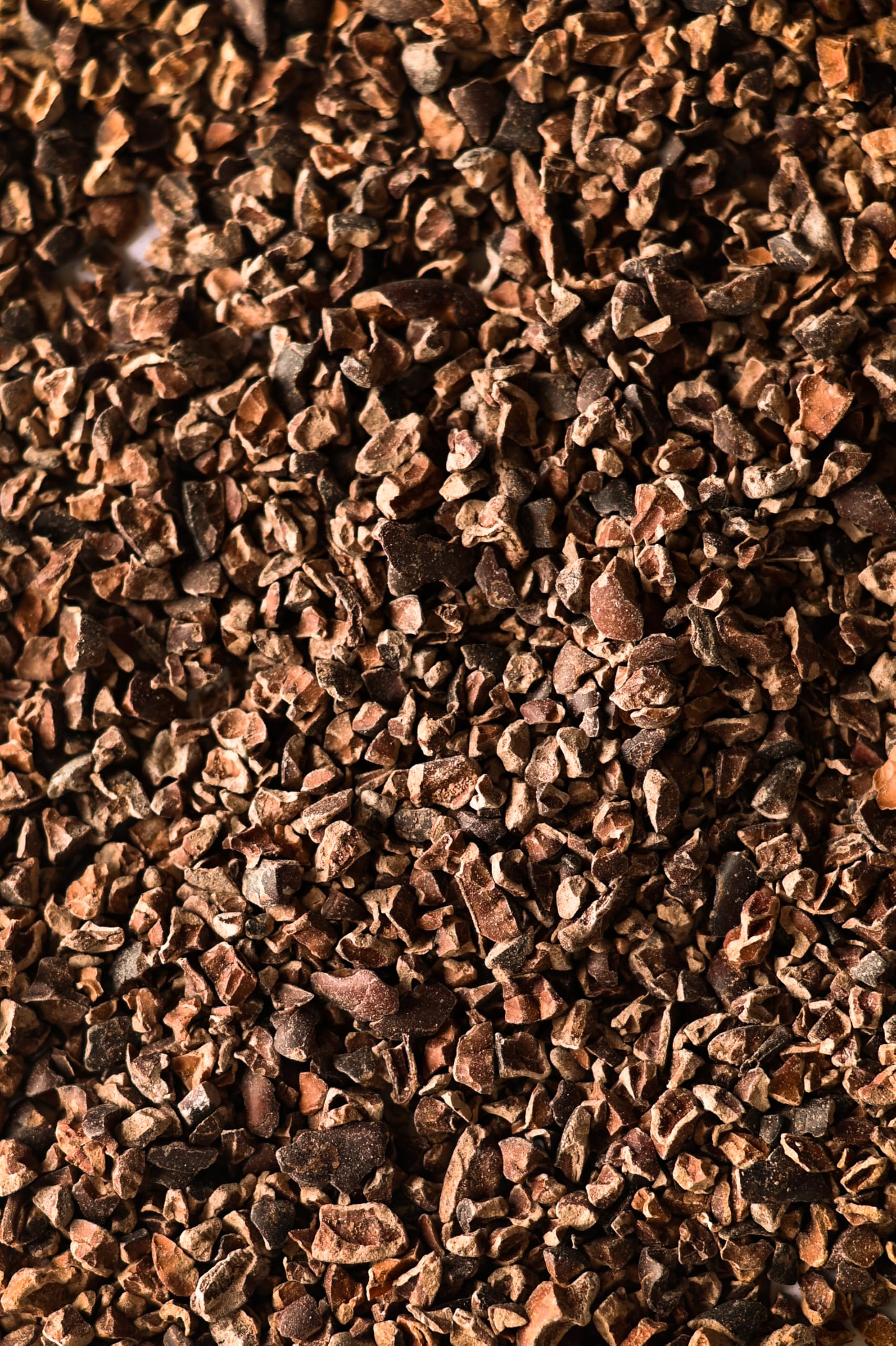 Biojoy Nibs de cacao Ecológico (1 kg), crudos y sin azúcares añadidos, Cacao nibs (Theobroma cacao)