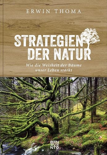 Strategien der Natur: Wie die Weisheit der Bäume unser Leben stärkt