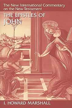 洋書John ScottJohn ScottPaths Not Taken英語版 The Epistles of John (The New International Commentary on