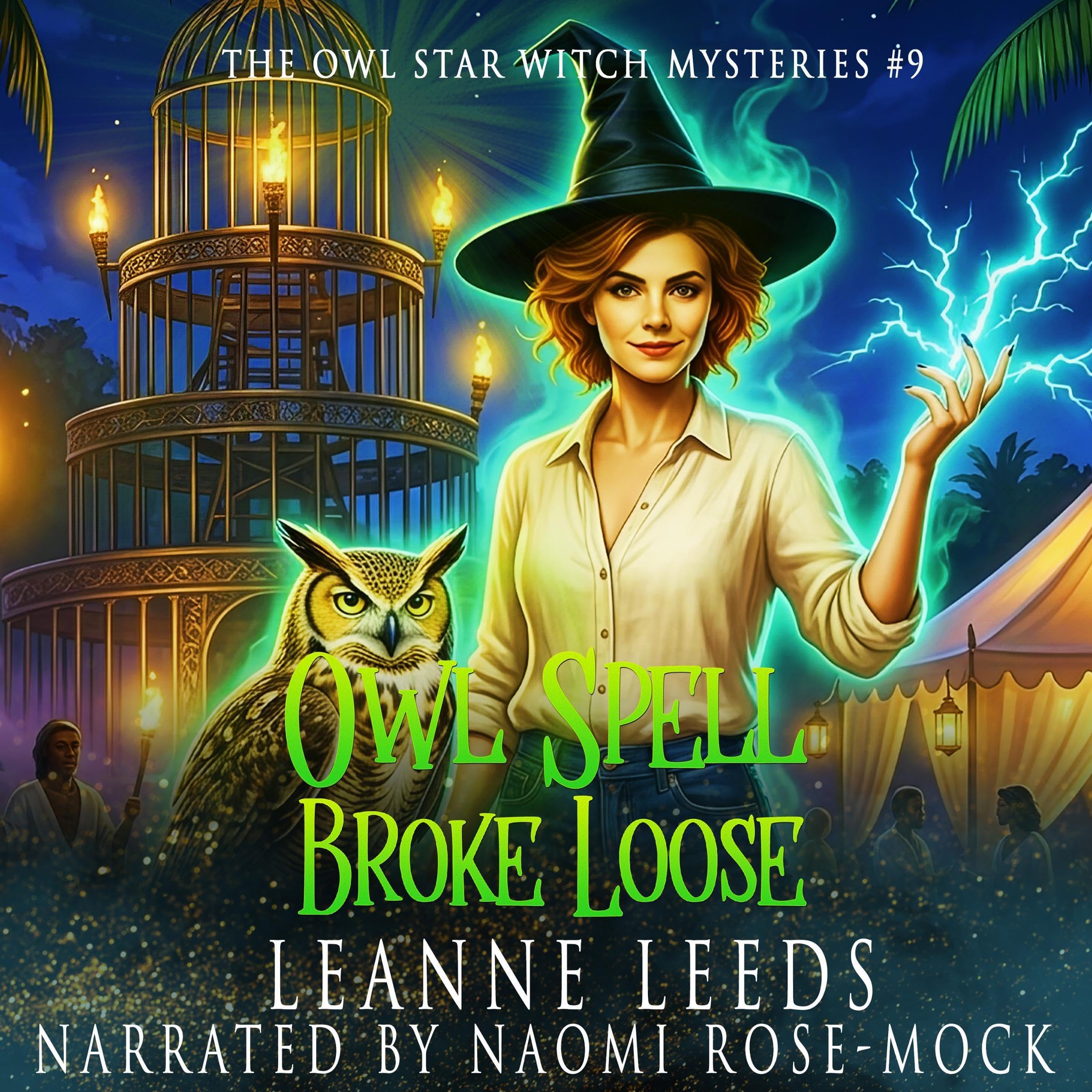 Cover art for Owl Spell Broke Loose