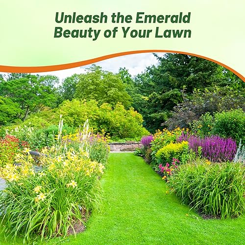 Miniatura 5 de Outsidepride Legado tolerante a la sombra de festuca fina de 25 libras, suave, mezcla de semillas de césped