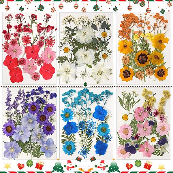 CONVELIFE Fiori Secchi Pressati per Resina 103 Pezzi
