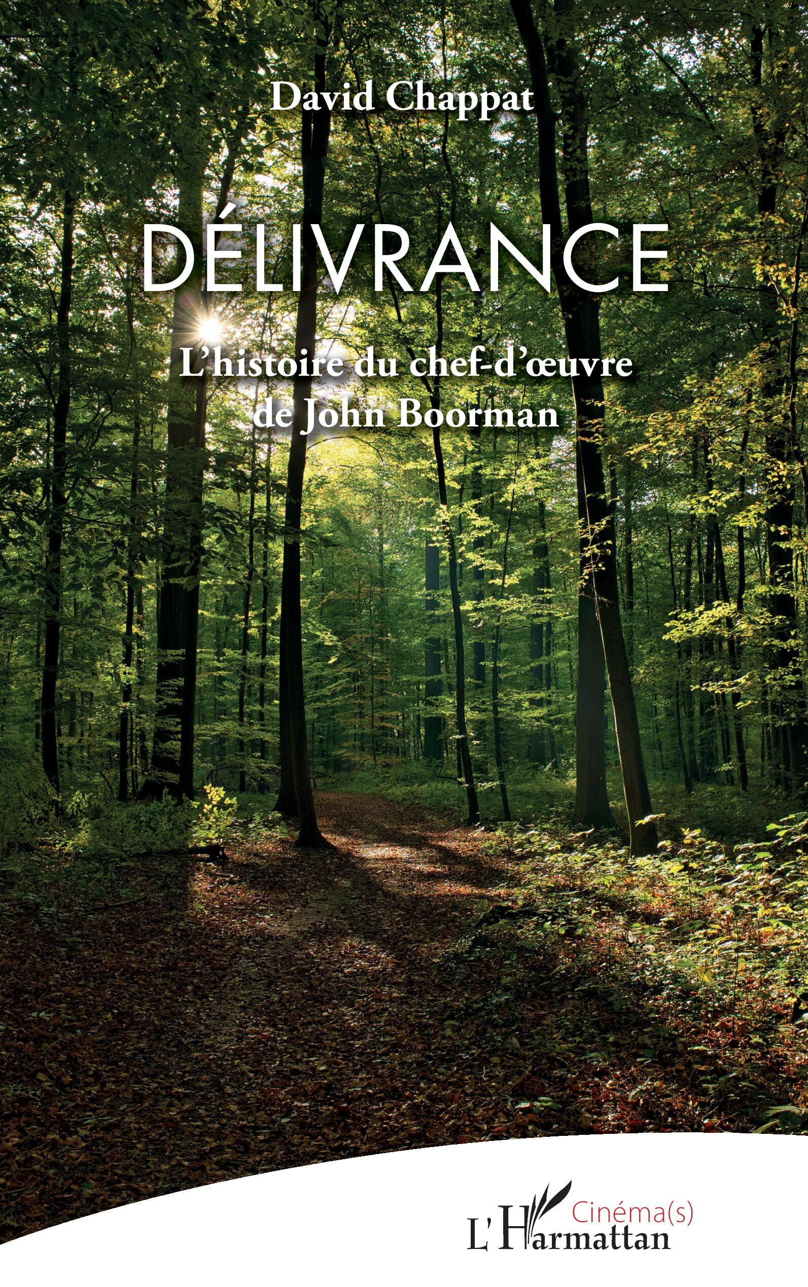 Délivrance John Boorman : le guide cinéma indispensable pour étudier ce chef-d'œuvre
