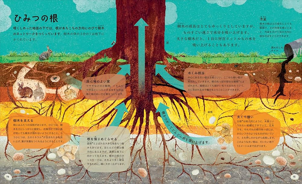 Чудо-дерево(不思議な木)

幼児用絵本　洋書 819JIBjaE9L._UF1000,1000_QL80_.jpg