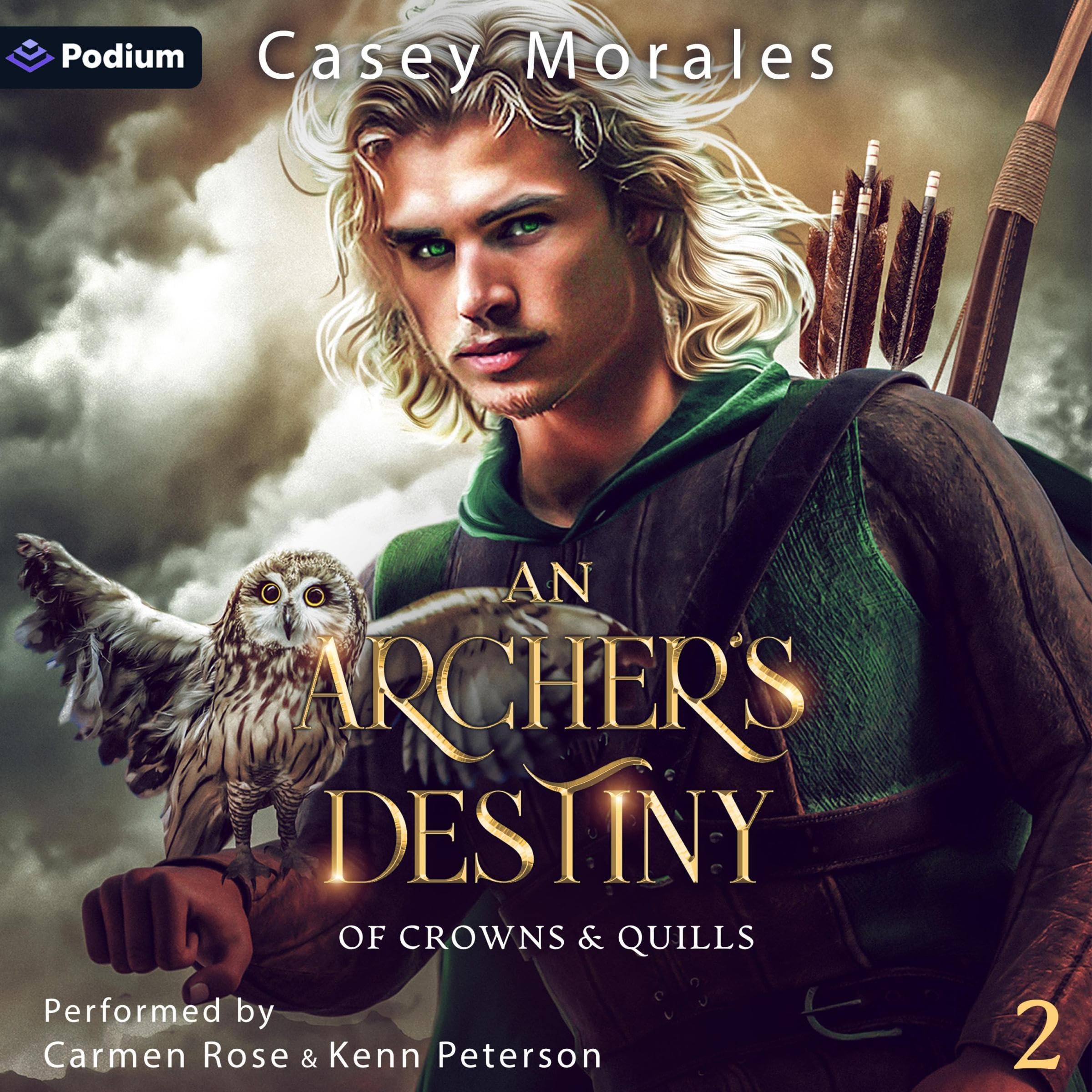 Cover art for An Archer's Destiny