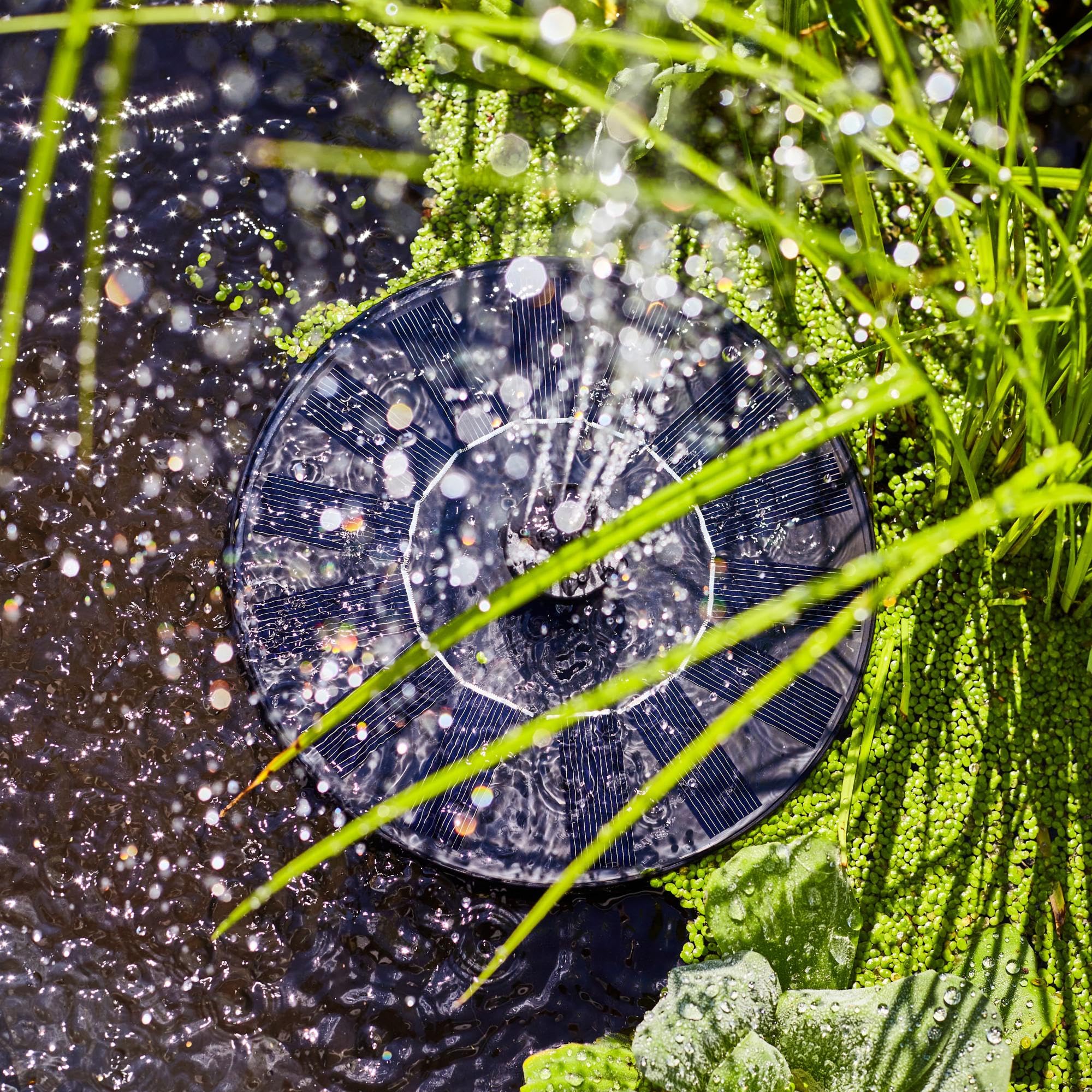 Heissner Solar Wassergarten AQUATOPIA inkl. Wasserspielpumpe - Miniteich, Dekoteich, Balkonteich