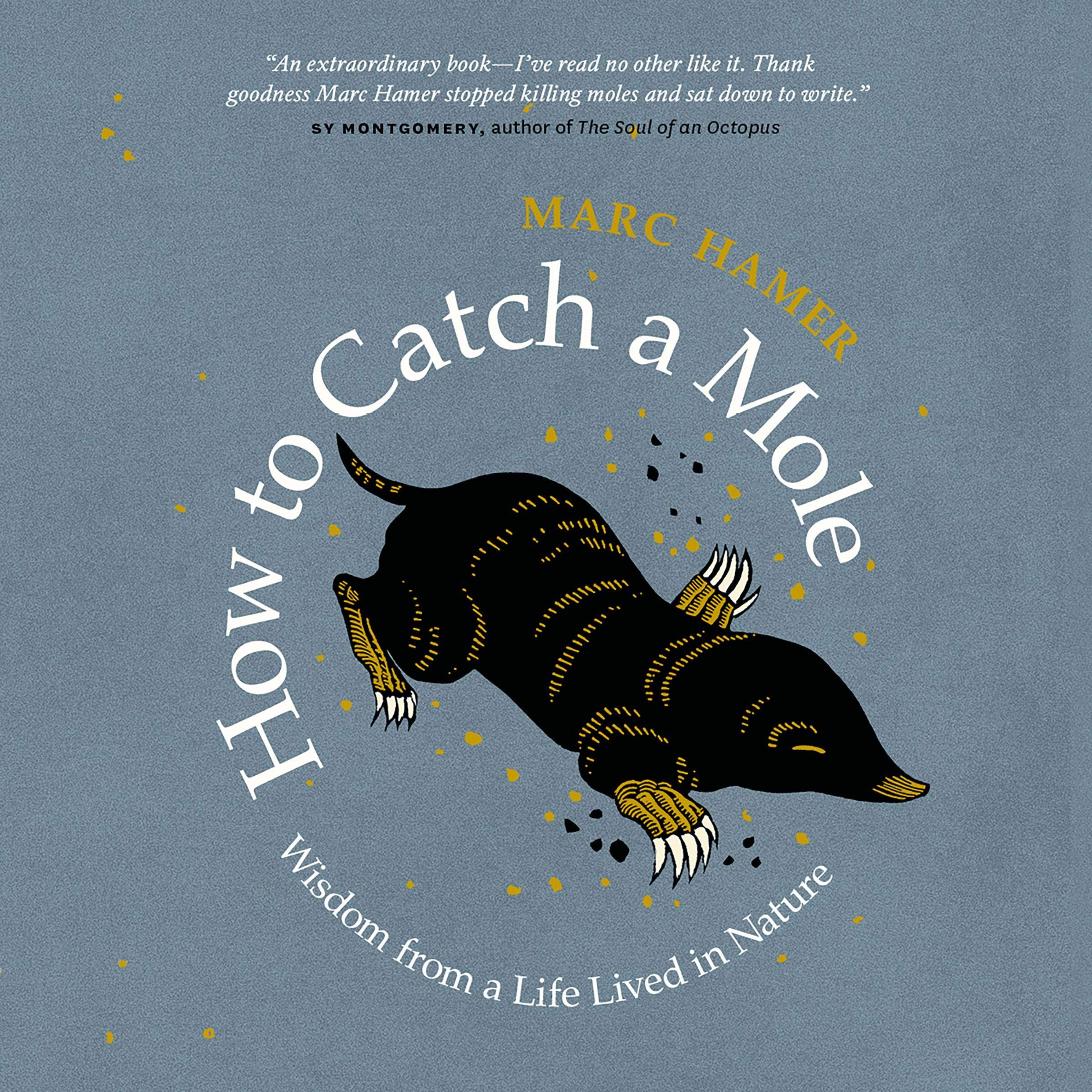 Cover art for How to Catch a Mole