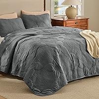 Vista 32 de Bedsure - Juego de edredón tamaño Queen, ultra suave, para dormitorio de estilo granja moderno, cubrecama ligero para todas las estaciones, colcha