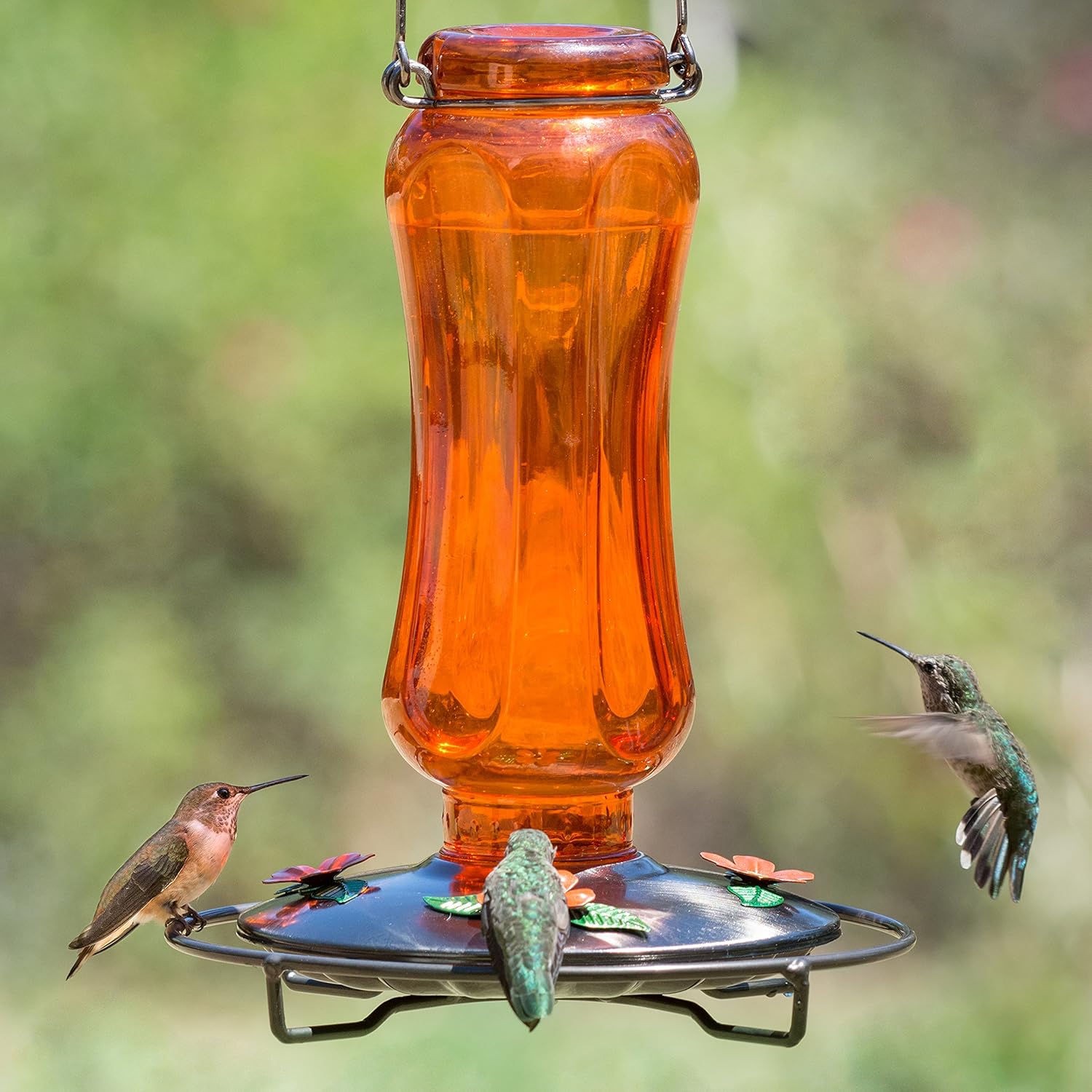Perky-Pet PP8135 Vintage Carnival Glass Oriole Feeder