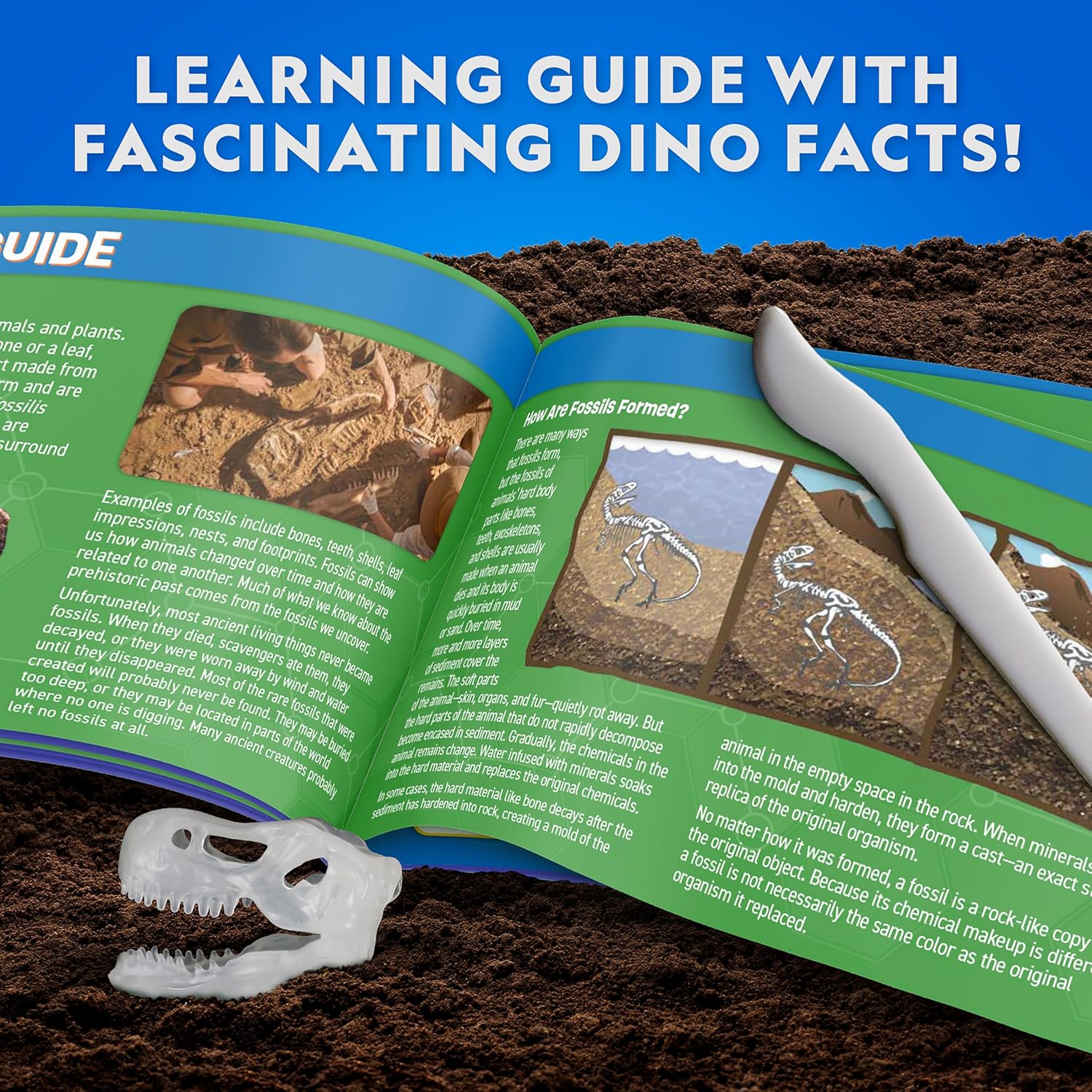 National Geographic Glow-in-The-Dark T. Rex Dissection Lab – Dissect a Synthetic Dinosaur, Build a 9.5” Glowing Tyrannosaurus Skeleton Model, Includes Refill Pack and Learning Guide, Dinosaur Toys