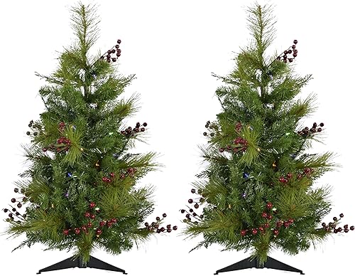 Miniatura 54 de Fraser Hill Farm Árbol de porche de 3 pies con luces LED multicolor Luces LED multicolor,Luces LED de color blanco cálido