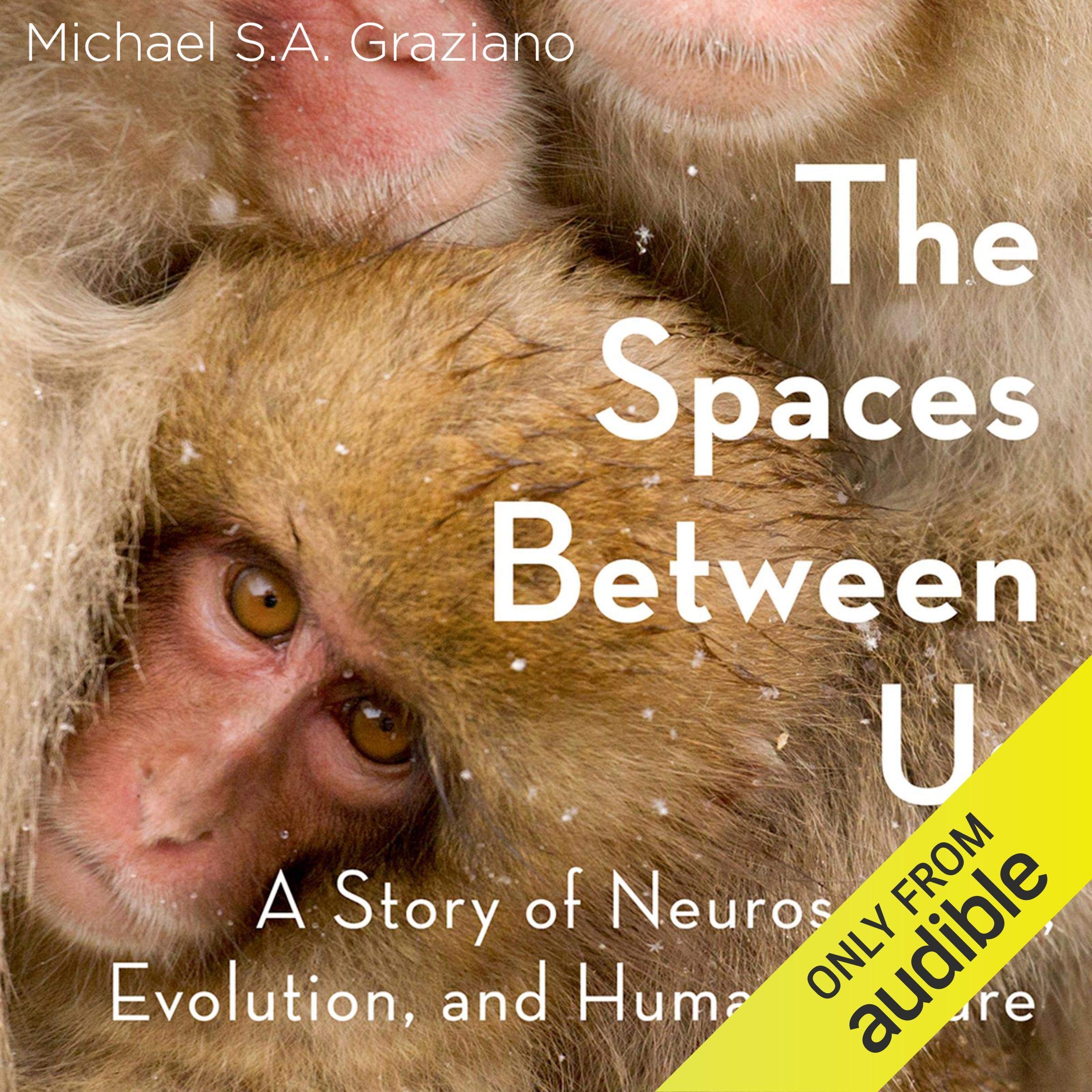 Cover art for The Spaces Between Us