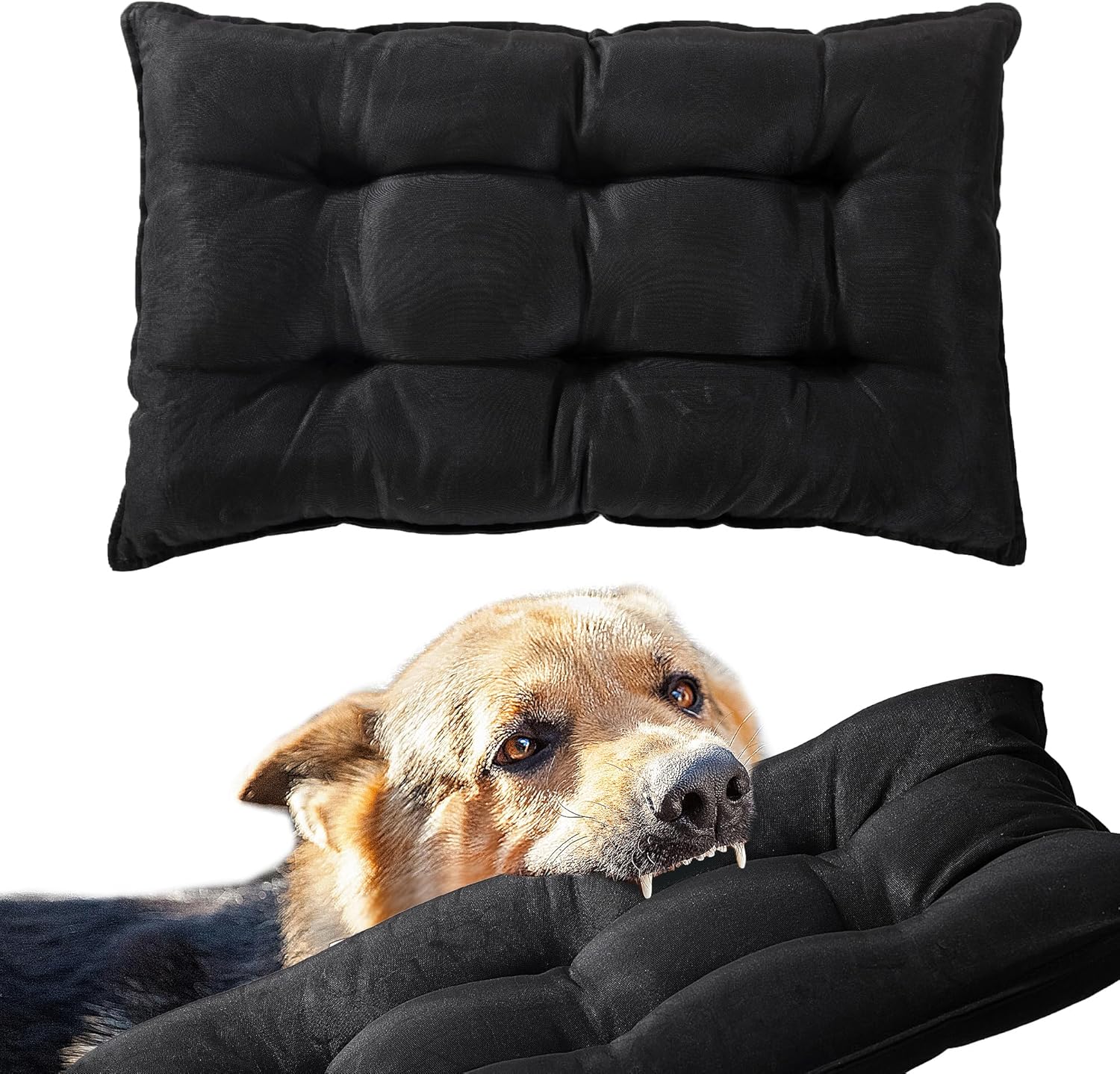 HOMBYS Indestructible Chew Proof Dog Bed, 23"x17" Durable and Water