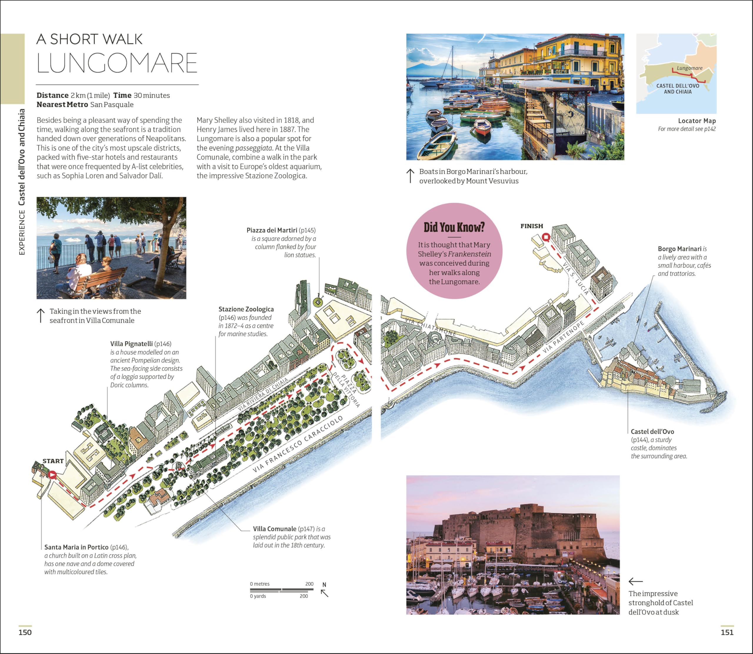 DK Naples and the Amalfi Coast: Must-See Sights. Culture & History. Detailed Maps & Tours. Covers Naples, Pompeii, & more