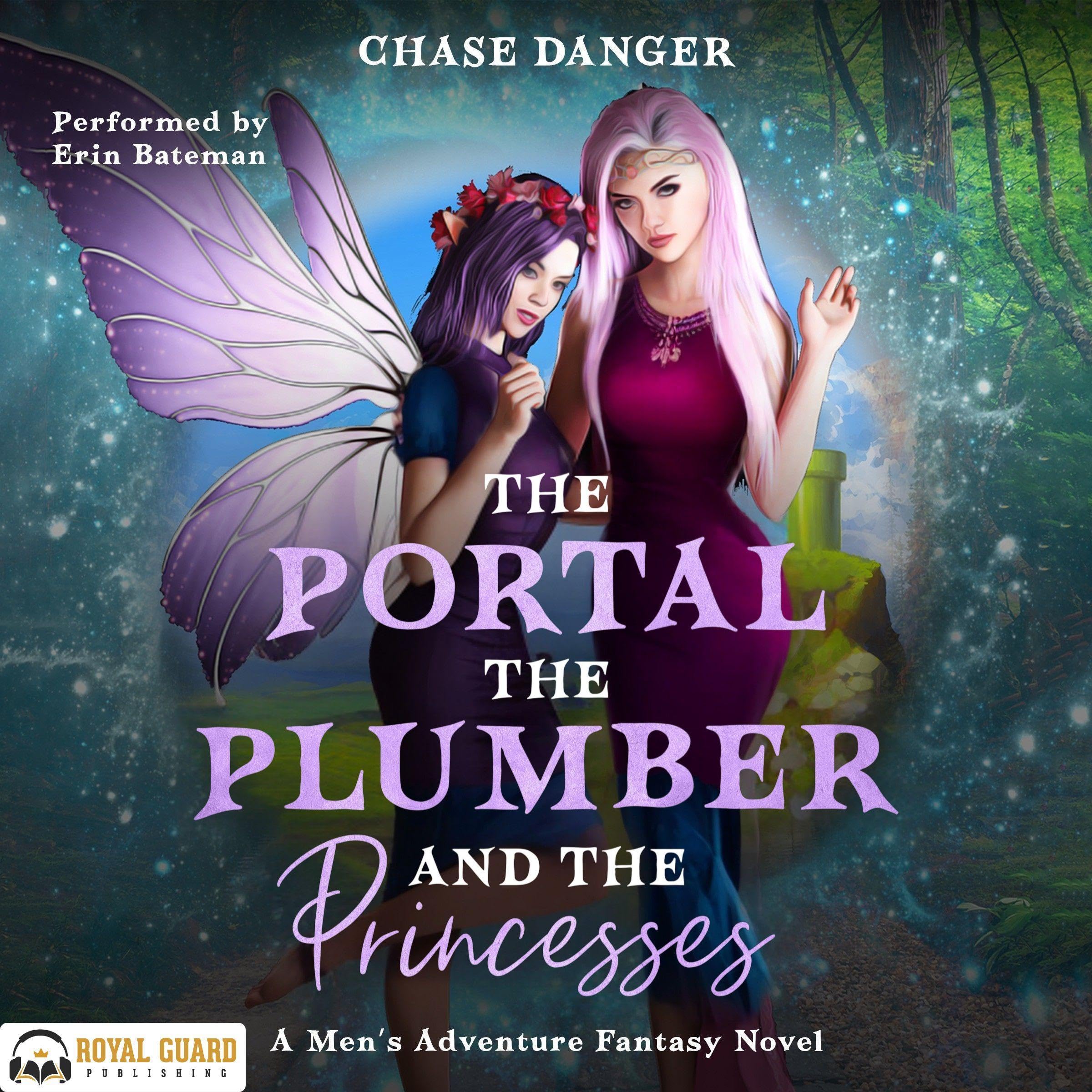 The Portal, the Plumber, and the Princesses