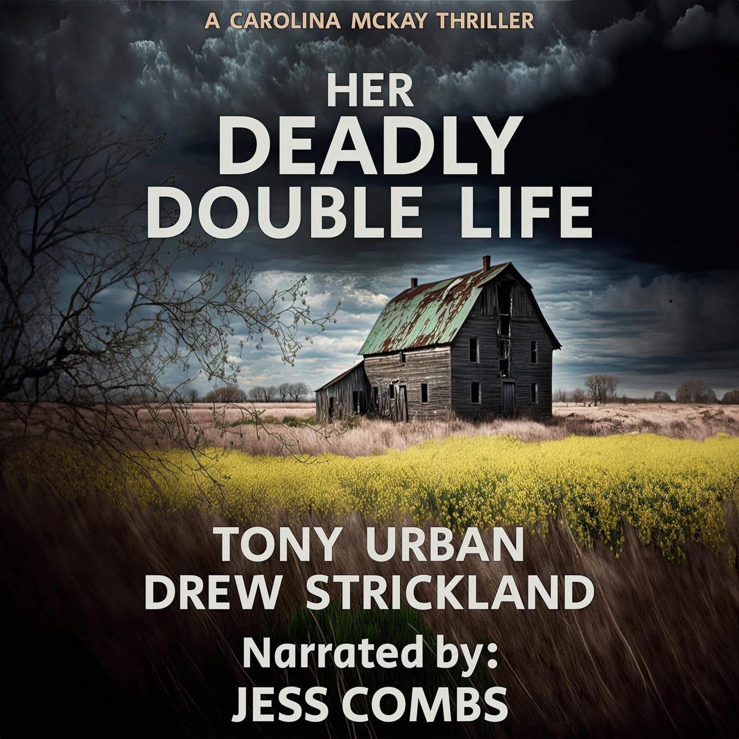 Carolina McKay Crime Thriller, Book 3