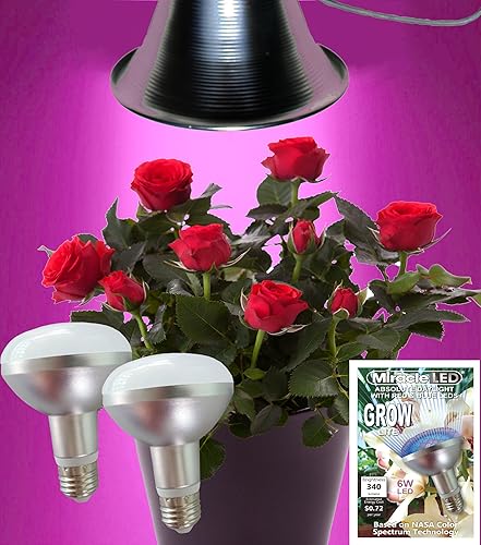 Miniatura 2 de MiracleLED 604962 Kit de abrazaderaluz de cultivo de 9 W, rojoazul