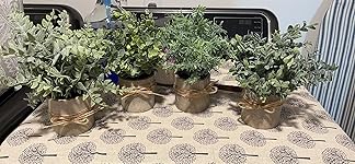 Review Image by Jennifer Hale Jennifer Hale