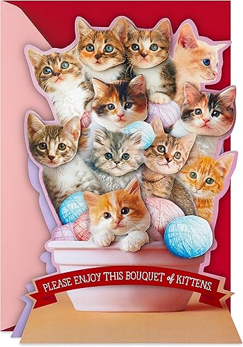 Hallmark Divertida tarjeta desplegable para el dĂa de San ValentĂn (caja de chocolates) Hallmark Divertida tarjeta desplegable para el dĂa de San ValentĂn (caja de chocolates)